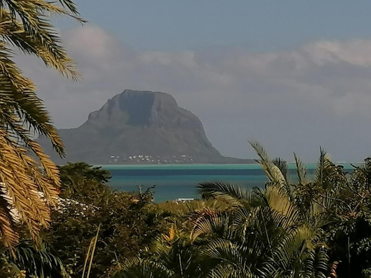 Terre Et Mer - Studios - Ile Maurice Rivière Noire Екстериор снимка